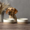 Scruffs Scandi 2 Piece Non Tip Pet Food & Water Bowl - 20cm - Cream