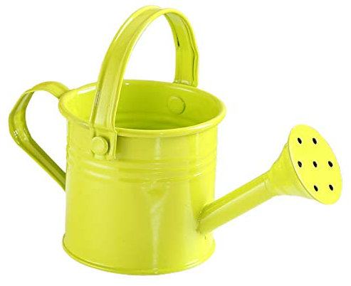 ZHDOKA Mini Annaffiatoio in Latta, Doccia da Giardino con Manico, Annaffiatoio Portatile Piccolo e Moderno per Fiori da Giardino Bonsai Succulenti(#3)