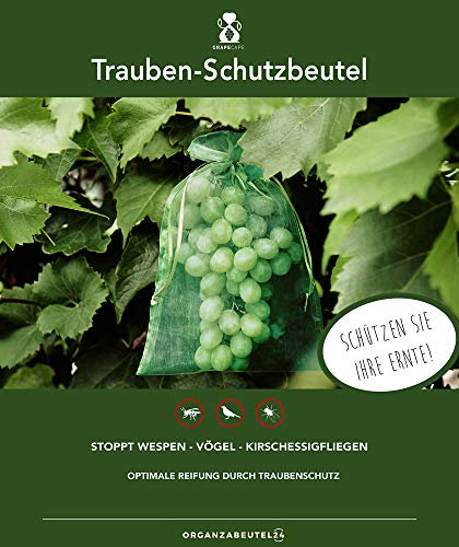 Trauben-Schutzbeutel, Frucht-Schutzbeutel. Zum Schutz vor Wespenfrass, Vögeln, Schnecken, Kirschessigfliege und Anderen Insekten (dunkelgrün, 40x30 cm 50er)