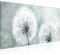 Runa Art Wandbild Pusteblume 1 Teilig 100 x 40 cm Modern Bild auf Vlies Leinwand Natur Wohnzimmer Schlafzimmer Grau Blau 207112b