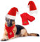 RANYPET Hund Weihnachtsmütze und Schal - Weihnachtshundekostüme Haustier Weihnachtsmütze Weihnachtshundeschal für kleine mittlere und große Hunde