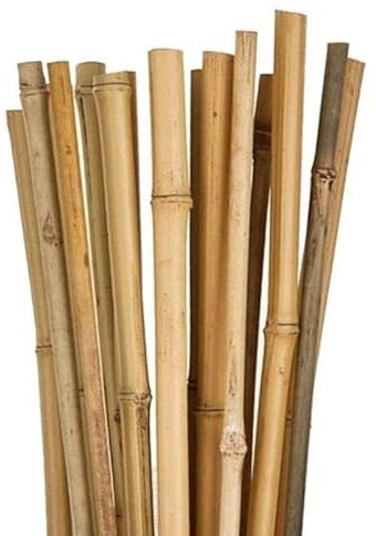 Virsus Canne di Bambù Naturale 7342, Lunghe 150 cm, diametro 12-14 mm, Sostegno per piante Rampicanti, Ortaggi, Pomodori, per giardino, orto, per arredamento, strutture, decorazioni (100)