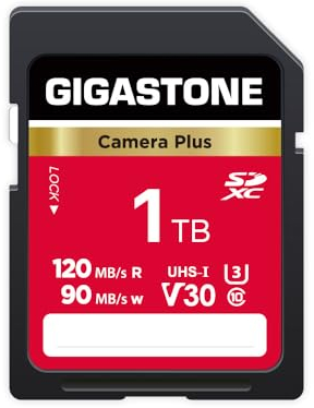 GIGASTONE 1 TB SD Card Camera Plus Velocità fino a 120/90 MB/s, U3 SDXC Ultra HD UHD Video per DSLR, fotocamera Canon, Sony, Pentax, Kodak, Olympus, Panasonic, con 1 mini custodia