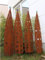 Zen Man Edelrost Gartendeko Rost Gartenstecker Skulpture aus Metall mit Glaskugel B27cmH148cm (031831: Hellblau)