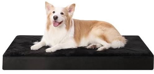 KSIIA Orthopädisches Hundebett für Große Mittelgroße Hunde, Waschbar Hundekissen Flauschig Hundematte Hundematratze mit Abnehmbarer Deckel in Schwarz 90x55x7cm