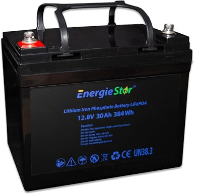 LOWENERGIE 30Ah 384Wh LiFePo4 Battery 12.8V Lithium-Ion Iron Phosphate 12V Leisure Solar Caravan (Battery only)