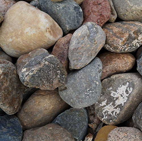 Gabiona - Gabionen Steine - 250 kg Nordseekiesel Ø 60-80 mm - Zum Befüllen für Gabionen mit Maschenweite bis 5 x 10 cm