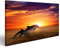 islandburner Bild auf Leinwand Delfin Springende Delfine Schöner Roter Sonnenuntergang Am Meer Bilder Wandbilder Poster