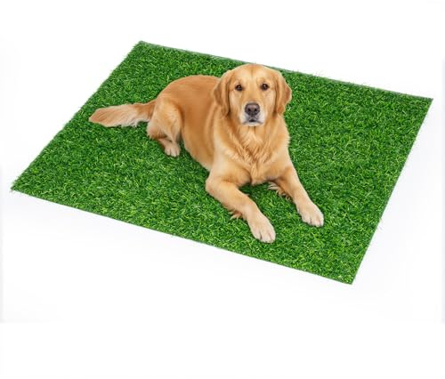 GreenWhim Artificial Grass Rug Turf Realistic dog lawn mat with drainage holes Fake Grass for Dogs Potty Training Garden, Patio, and Outdoor Decoration (80 * 100CM)