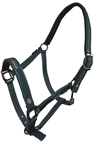 Horsenjoy Halfter Cassia Pferdehalfter (Full, Grün)