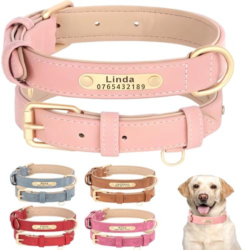 SEOUGEE Collier personnalisé pour chien en cuir doux, rembourré, robuste, avec plaque gravée personnalisée, réglable pour chiens de petite, moyenne et grande taille (L, rose layette, 35-45 cm)