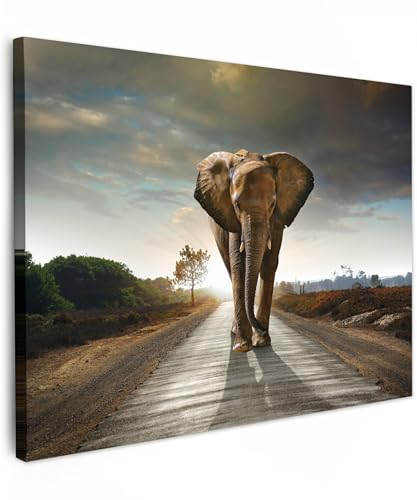 MuchoWow© Wandbilder 70x50 cm Schlafzimmer Home Deko Wohnung Bild Tier Wohnzimmer Fotoleinwand Wand Bilder Tierbilder auf Leinwand Wall Decor Wanddeko Waldtiere - Elefant - Sonnenuntergang