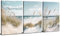 3 Piece Beach Canvas Wall Art Boho Decor Tropical Ocean Coastal Landscape Bathroom Pictures for Living Room Rustic Blue Sea Ocean Paintings Nature Plants Prints Sand Dune Reeds Posters Artwork 12x16