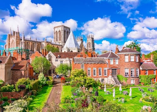 Puzzles 1000 Pieces for Adults jigsaw puzzles for adults 1000 Piece Puzzle Educational Games -York Minster.