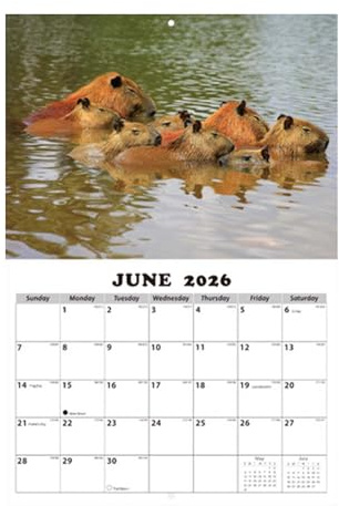 2026 Wandkalender - Mit Illustrationen zum Thema Tiere,Monatskalender Zum Aufhängen Als Deko | für Studenten Kinder Jugendliche Erwachsene Lehrer Esszimmer Wohnheim Wohnzimmer Schlafzimmer Arbeitszimm