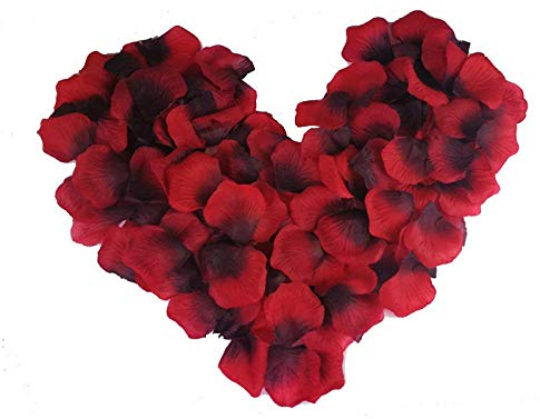 Qinsky Silk Rose Petals,1000 Pieces Red Petals Artificial Flowers for Wedding Confetti Valentine's Day Art 5X5cm