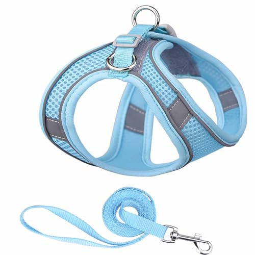 Monkimau Atmungsaktives Hundegeschirr mit Leine | Mesh und Nylon | Ideal für kleine Hunde und Katzen | Größe XXS bis L (Hellblau, L)
