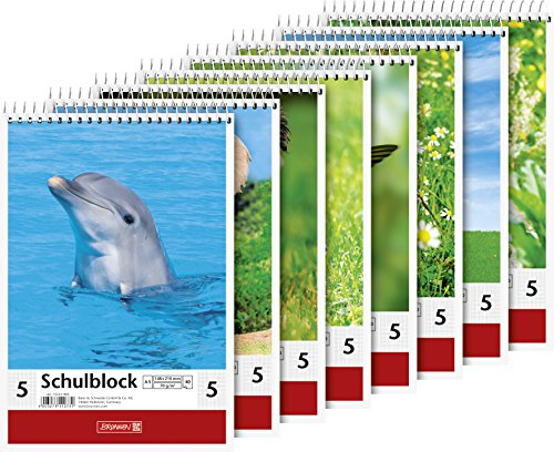 BRUNNEN Schulblock | A5, Lineatur 5, 40 Blatt, mehrfarbig