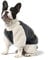 NAMSAN Hundepullover für Kleine Hunde Winter Hundepullover mit Taschendesign Warm Fleece Hundepulli für Kleine Hunde/Welpe-Grau, XXL