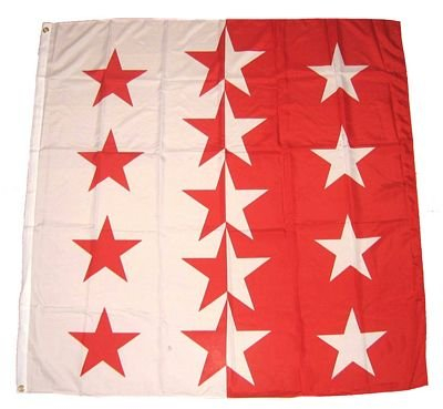 Fahne/Flagge Schweiz - Kanton Wallis NEU 60 x 60 cm