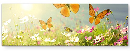 Paul Sinus Art Leinwandbilder | Bilder Leinwand 120x40cm Schmetterlinge auf einer Blumenwiese im Sommer