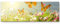 Paul Sinus Art Leinwandbilder | Bilder Leinwand 120x40cm Schmetterlinge auf einer Blumenwiese im Sommer