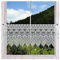 Spitzengardine Dara aus Echter Plauener Spitze Moderne Scheibengardine mit Ornamenten in weiß 35 x 96 cm