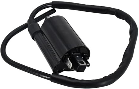Galloparts Bobine d'allumage EG561-68902 EG561-68900 129700-4850 129700-4860 129700-4870 C4850 compatible avec moteurs Kubota WG972 DF972