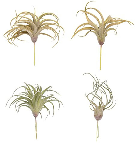 Cpolebev 4Pack KüNstliche Ananas Gras Luft Pflanzen GefäLschte Blumen Faux Flocking Tillandsia Bromelien Hausgarten