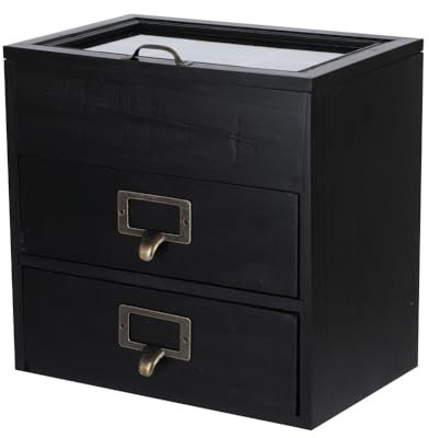 PACKGILO Aufbewahrungsbox aus Holz, Schreibtisch-Organizer mit 2 Schubladen und 6 Fächern, Apotheker-Schubladen, kleine Holzschubladen, kleine Bastelaufbewahrungsbehälter, Schmuckhalter für Damen