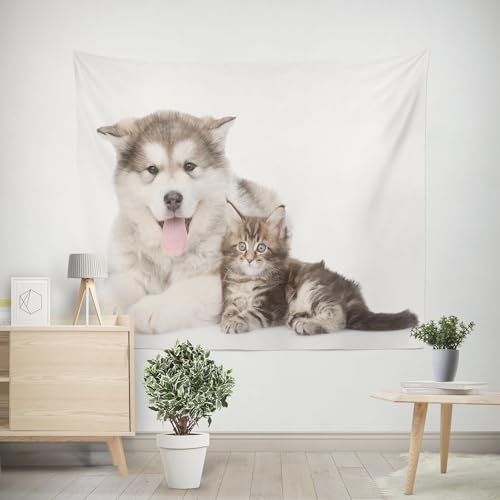 EHOMERY Tapiz Cocina 3D Tapiz Pared Grande 3D Gatos Y Perros Tapiz Playa Toalla Tapiz Suelo Piscina Barato Decoración Colgante De Salón Dormitorio 200x200cm