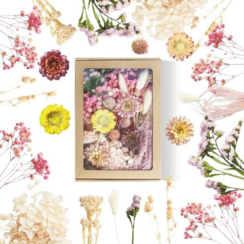 Trockenblumens Klein (Rosa) Trockenblumen Trockenblumen zum Basteln Natürliche Getrocknete Blumen Dried Flowers Trockenblumens Bunt Trocken Blumen für Kerzen Deko DIY Scrapbooking