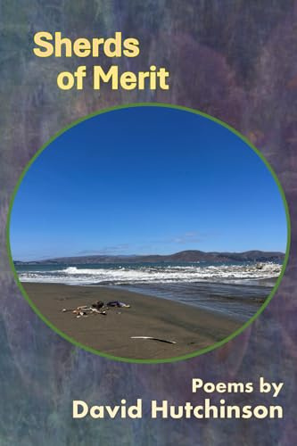 American Poetry Systems