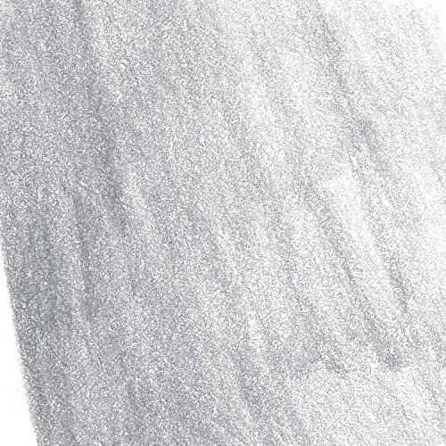 Albrecht Dürer Faber-Castell Künstler-Aquarell-Bleistift, P1, Cold Grey V, 20x1x1 cm