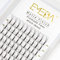 EMEDA cils volume russe 6D 0.07mm D curl cils extension de cils professionnel 9mm 12mm 15mm faux cils naturel Premade Eyelash Naturel Extension Cils Volume Russe Bouquet (6D 0.07 D mix)