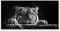 Tulup Impression sur Verre de 120x60 cm Image Tableau Photo décorative panoramique pour la Cuisine et Le Salon - Animaux - Tigre - Noir et Blanc