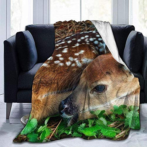YuLiZP Decke Wohn Kuscheldecken Fawn Weiß Schwanz Hirsch Bambi Cub Lügen Look Superweiche,Flauschige,Warme,Feste Bettüberwürfe Für Sofa-Mikrofaserdecken 80X60 Inches