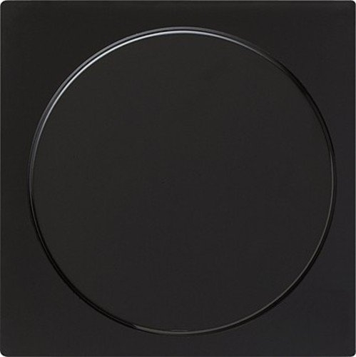 Gira 026847 Blindabdeckung mit Tragring S, schwarz