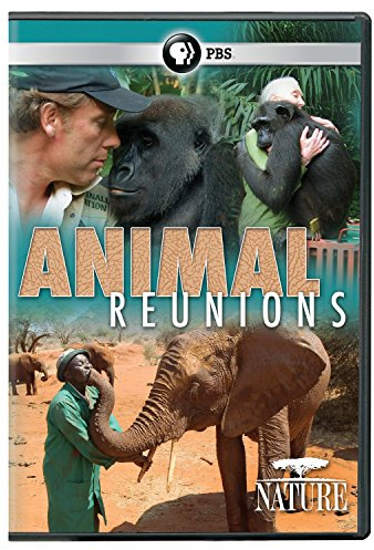 NATURE: Animal Reunions DVD