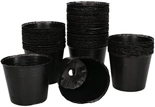 KOTARBAU Lot de 100 pots de semis en plastique 90 x 65 x 76 mm
