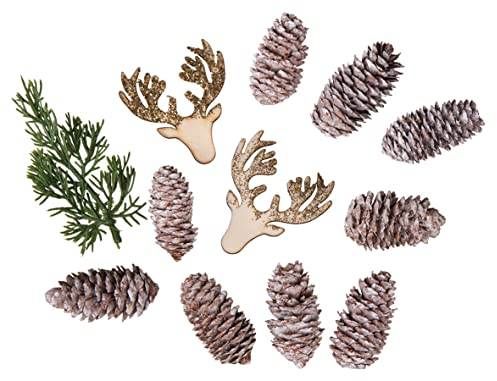 Rayher Deko Mix Weihnachten, Zapfen, Tannenzweig, Elchköpfe, Beutel 12 Stück sortiert, 4 – 12, für winterliche Dekorationen, 55952999