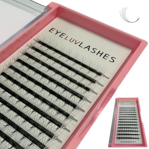 Russian Premade Lashes 5D D Curl 8-15 Mix Length Pre Made Lash Fans Volume Lashes Promade Lash Extensions Pre Made Lash Fans Eyelash Tray (5D 0.07 D Curl 8-15 Mix)