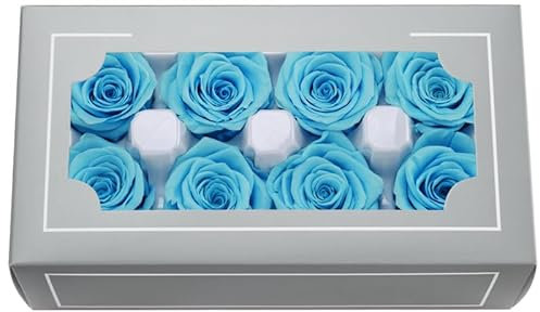 Têtes de Roses Éternelles Haut de Gamme Naturelles (4-5cm) – Durée 3-5 Ans, Déco Maison, Cadeaux Festifs, DIY – sans Entretien & Écologique (Bleu Ciel)