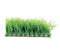 Underwater Treasures 53319 Hair Grass Mat