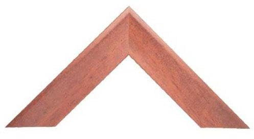 Bilderleiste 384 ROTBUCHE, rotbuche