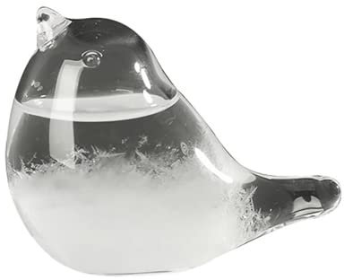 FUOBECIE Sturmglas, kreative Desktop-Dekoration, Wassertropfen-Glas-Barometer, Wettervorhersage, Wetterstation, Wettervorhersage, für Mode, Büro, Schreibtisch, Heimdekoration (B)