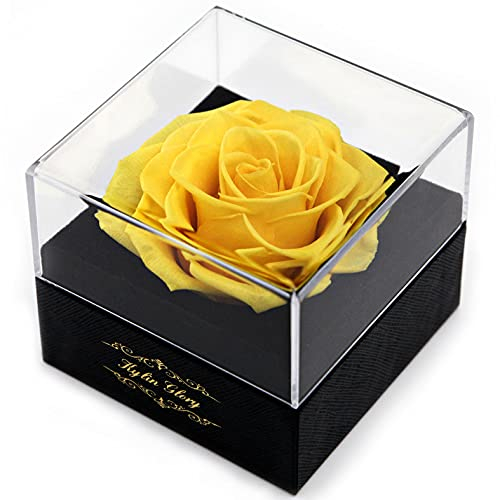 Kylin Glory Frische Schnittblume konservierte Rose für Frauen Mutter Frau Freundin - Blumengeschenk echte Rose Dekor für Muttertag Valentinstag Hochzeit Party Feier Geburtstag Jahrestag (Gelb)