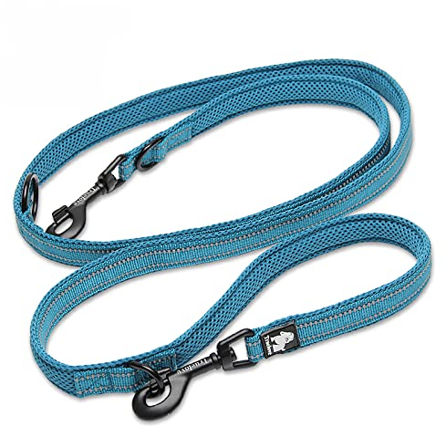 WINHYEPET True Love 7-in-1-Multifunktions-verstellbare Hundeleine, handfrei, Haustier-Trainingsleine, Nylon, reflektierend, bequem, Mehrzweck-Hundeleine TLL2411 (Blau, M)