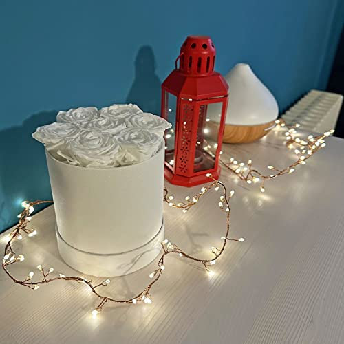 Kentis - Rose Bianche Stabilizzate in Confezione Regalo - Dimensioni e Colori a Scelta - Rose Eterne Fiori Veri - Idee Regalo Bouquet