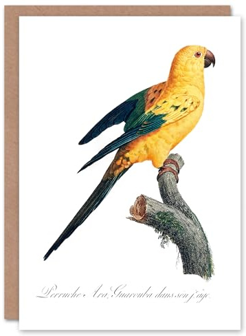 Artery8 Francois Levaillant Art Card Female Sun Parakeet Bird